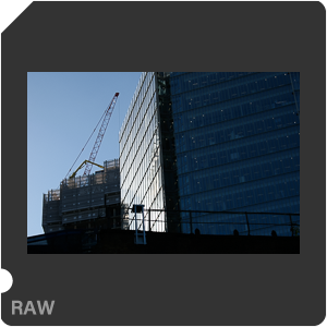 Камера Nikon D3500 с объективом AF-P DX Nikkor 18-55mm F/3.5-5.6G VR. Примеры RAW файлов