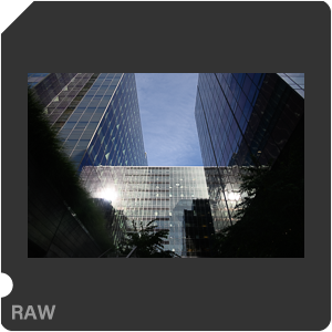 RAW sample