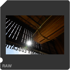 RAW sample