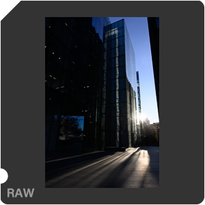 RAW sample