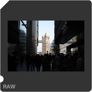 Камера Nikon Z 6 с объективом Nikkor Z 24-70mm f/4 S. Примеры RAW файлов