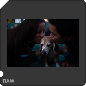 RAW sample