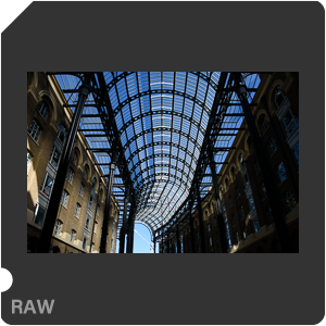 Камера Nikon D3500 с объективом AF-P DX Nikkor 18-55mm F/3.5-5.6G VR. Примеры RAW файлов