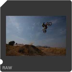 RAW sample