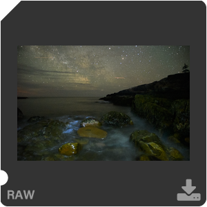 Камера Nikon D500 с объективом AF-S DX Nikkor 16-80mm f/2.8-4E ED VR. Примеры RAW файлов