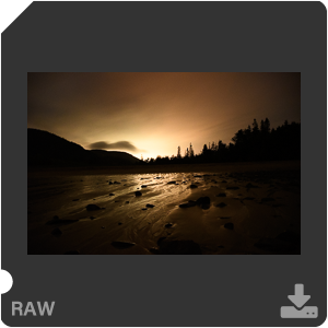 Камера Nikon D500 с объективом AF-S DX Nikkor 16-80mm f/2.8-4E ED VR. Примеры RAW файлов