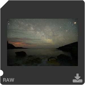 Камера Nikon D500 с объективом AF-S DX Nikkor 16-80mm f/2.8-4E ED VR. Примеры RAW файлов