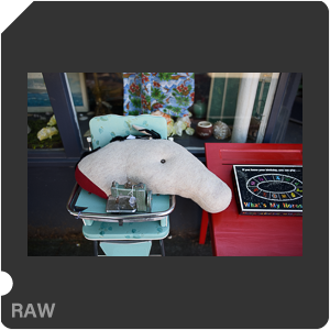 Камера Nikon D810 с объективом AF-S Nikkor 28 mm f/1.4E ED. Примеры RAW файлов