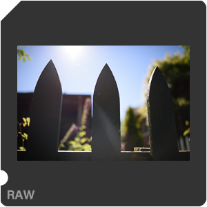 Камера Nikon D810 с объективом AF-S Nikkor 28 mm f/1.4E ED. Примеры RAW файлов