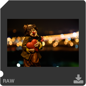 Камера Nikon D750 с объективом AF-S Nikkor 24-70mm f/2.8G ED. Примеры RAW файлов