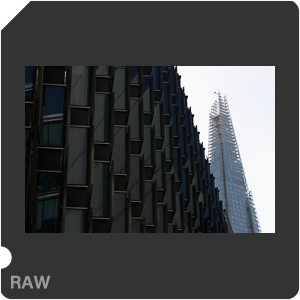 RAW sample