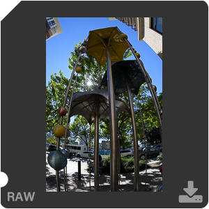 Nikon D7500 с объективом AF-S Fisheye Nikkor 8-15mm f/3.5-4.5E ED. Примеры RAW файлов