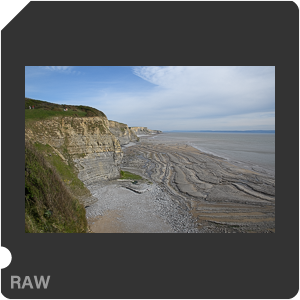 Камера Nikon D500 с объективом AF-S DX Nikkor 16-80mm f/2.8-4E ED VR. Примеры RAW файлов