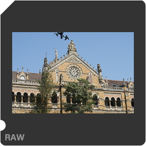 Камера Nikon D810 с объективом AF-S Nikkor 70-200mm f/4G ED VR. Примеры RAW файлов