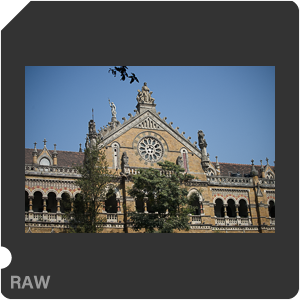 Камера Nikon D810 с объективом AF-S Nikkor 70-200mm f/4G ED VR. Примеры RAW файлов