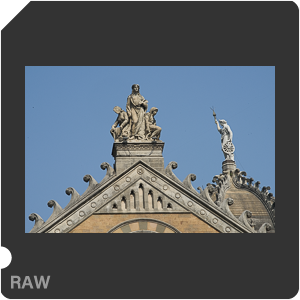 Камера Nikon D810 с объективом AF-S Nikkor 70-200mm f/4G ED VR. Примеры RAW файлов