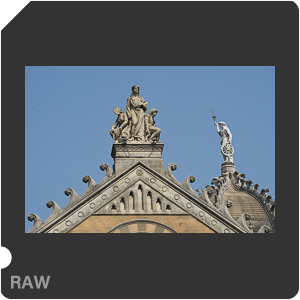 Камера Nikon D810 с объективом AF-S Nikkor 70-200mm f/4G ED VR. Примеры RAW файлов