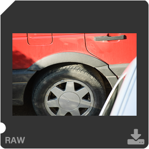 Камера Nikon D40 с объективом AF-S VR Zoom-Nikkor 70-200mm f/2.8G. Примеры RAW файлов