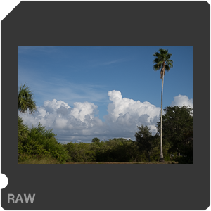 Nikon Z 8 + Nikkor Z 24-70mm f/2.8 S II. Examples of RAW files