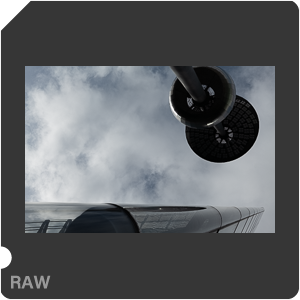 RAW sample