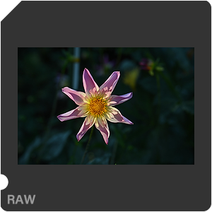 Камера Nikon Z 6III с объективом Nikkor Z 24-70mm f/2.8 S. Примеры RAW файлов