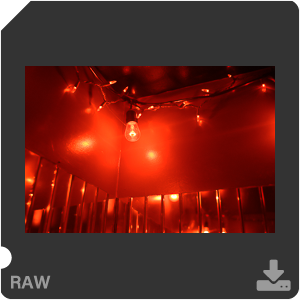 Камера Nikon Z 50 с объективом Nikkor Z DX 24 mm f/1.7. Примеры RAW файлов