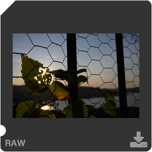 Камера Nikon Z 50 с объективом Nikkor Z DX 24 mm f/1.7. Примеры RAW файлов