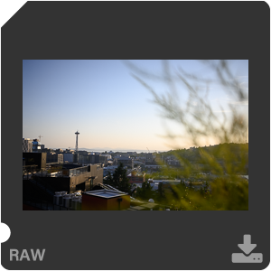 Камера Nikon Z 50 с объективом Nikkor Z DX 24 mm f/1.7. Примеры RAW файлов