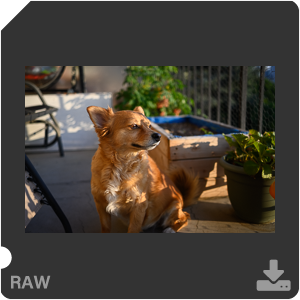 Камера Nikon Z 50 с объективом Nikkor Z DX 24 mm f/1.7. Примеры RAW файлов