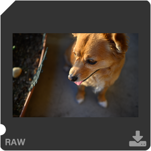 Камера Nikon Z 50 с объективом Nikkor Z DX 24 mm f/1.7. Примеры RAW файлов