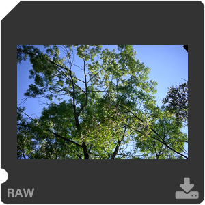 Камера Nikon Z 50 с объективом Nikkor Z DX 24 mm f/1.7. Примеры RAW файлов