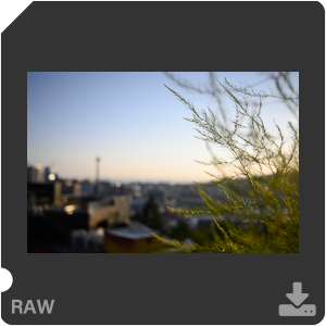 Камера Nikon Z 50 с объективом Nikkor Z DX 24 mm f/1.7. Примеры RAW файлов