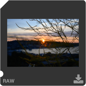 Камера Nikon Z 50 с объективом Nikkor Z DX 24 mm f/1.7. Примеры RAW файлов