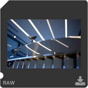 Камера Nikon Z 50 с объективом Nikkor Z DX 24 mm f/1.7. Примеры RAW файлов