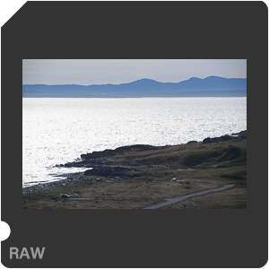 Камера Nikon D6 с объективом AF-S Nikkor 120-300mm f/2.8E FL ED SR VR. Примеры RAW файлов