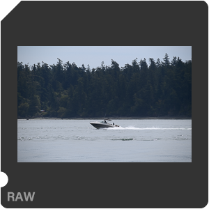 Камера Nikon D6 с объективом AF-S Nikkor 120-300mm f/2.8E FL ED SR VR. Примеры RAW файлов