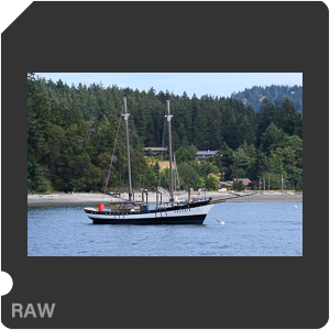 Камера Nikon D6 с объективом AF-S Nikkor 120-300mm f/2.8E FL ED SR VR. Примеры RAW файлов