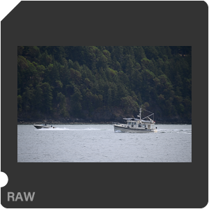 Камера Nikon D6 с объективом AF-S Nikkor 120-300mm f/2.8E FL ED SR VR. Примеры RAW файлов