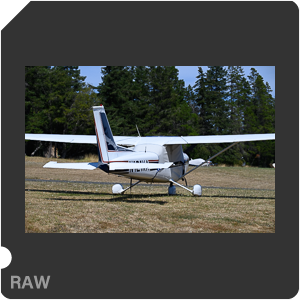 Камера Nikon D6 с объективом AF-S Nikkor 120-300mm f/2.8E FL ED SR VR. Примеры RAW файлов