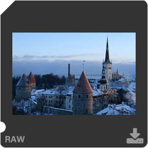 Камера Nikon D7500 с объективом AF-S DX Micro Nikkor 40 mm f/2.8G. Примеры RAW файлов