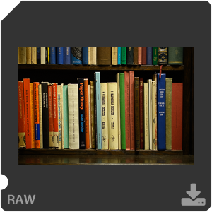 Камера Nikon D7500 с объективом AF-S DX Micro Nikkor 40 mm f/2.8G. Примеры RAW файлов