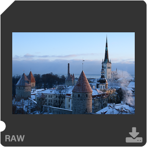 Камера Nikon D7500 с объективом AF-S DX Micro Nikkor 40 mm f/2.8G. Примеры RAW файлов