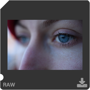 Камера Nikon D7500 с объективом AF-S DX Micro Nikkor 40 mm f/2.8G. Примеры RAW файлов