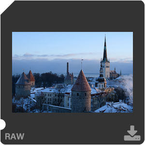 Камера Nikon D7500 с объективом AF-S DX Micro Nikkor 40 mm f/2.8G. Примеры RAW файлов