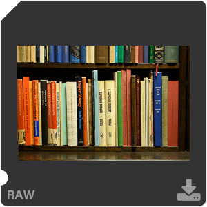 Камера Nikon D7500 с объективом AF-S DX Micro Nikkor 40 mm f/2.8G. Примеры RAW файлов