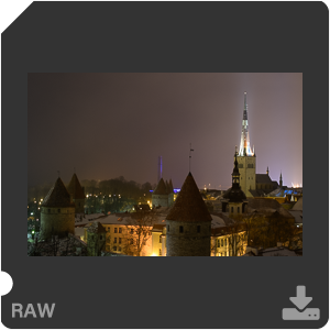 Камера Nikon D7500 с объективом AF-S DX Micro Nikkor 40 mm f/2.8G. Примеры RAW файлов