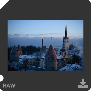 Камера Nikon D7500 с объективом AF-S DX Micro Nikkor 40 mm f/2.8G. Примеры RAW файлов