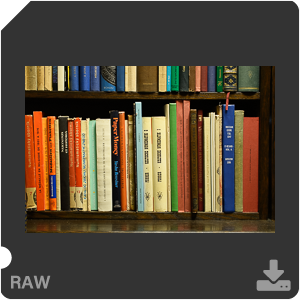 Камера Nikon D7500 с объективом AF-S DX Micro Nikkor 40 mm f/2.8G. Примеры RAW файлов