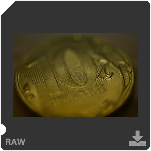 Камера Nikon D7500 с объективом AF-S DX Micro Nikkor 40 mm f/2.8G. Примеры RAW файлов