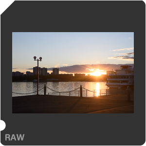 Камера Nikon D500 с объективом AF-S DX Nikkor 16-80mm f/2.8-4E ED VR. Примеры RAW файлов